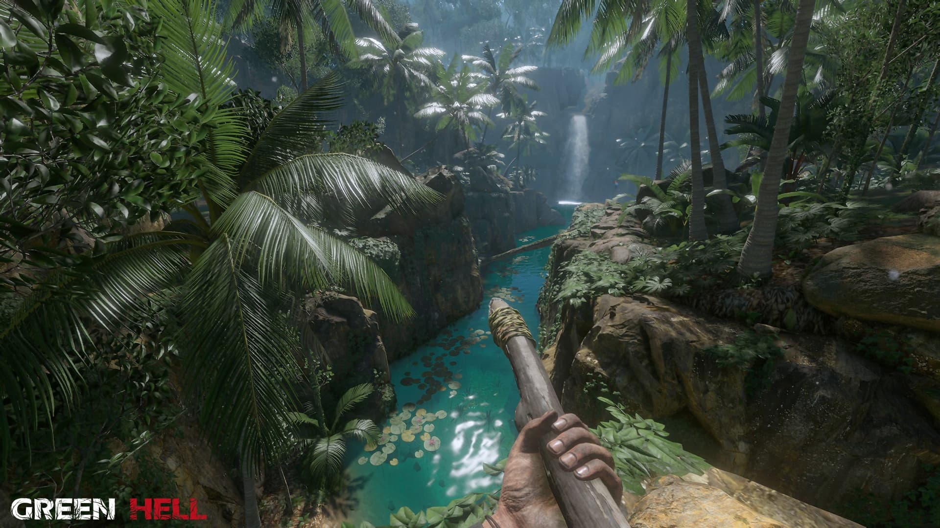 Green Hell Gameplay Screenshot 2