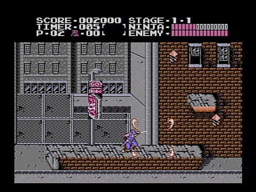 Ninja Gaiden Gameplay Screenshot 3