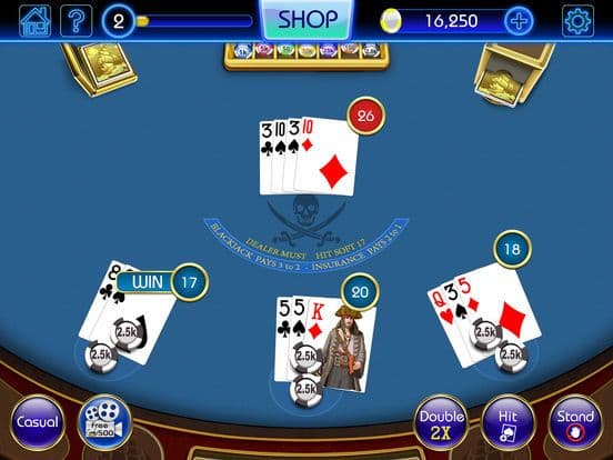 blackjack - black jack gambling paddle Gameplay Screenshot 4
