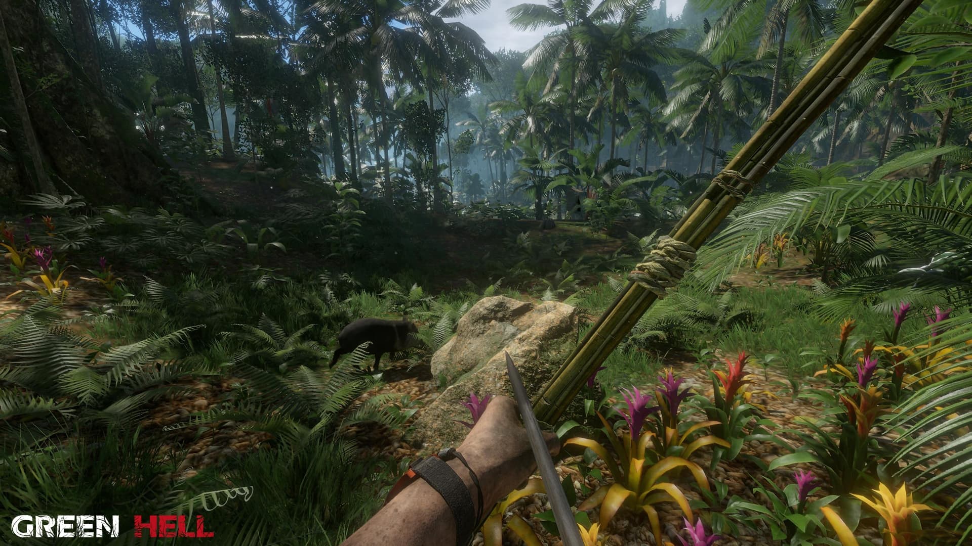 Green Hell Gameplay Screenshot 4