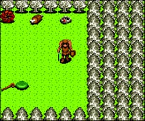 Dragon Crystal ROM Gameplay Screenshot 2