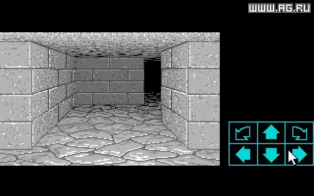 dark chambers dungeon dungeon masters Gameplay Screenshot 5