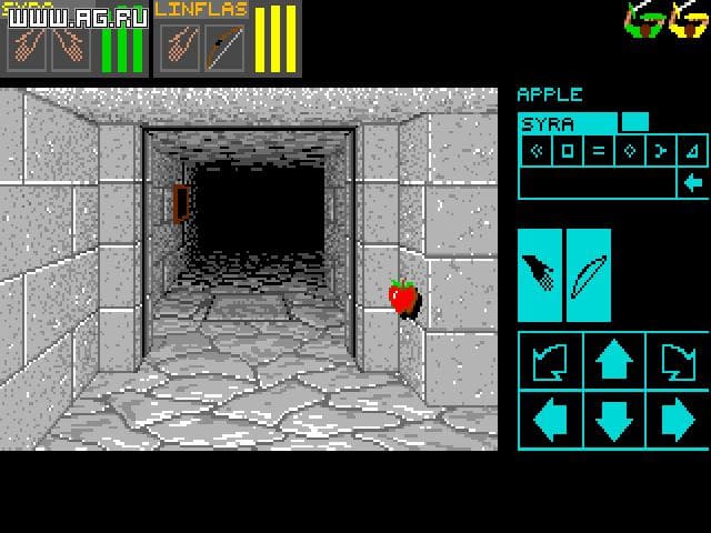 dark chambers dungeon dungeon masters Gameplay Screenshot 3