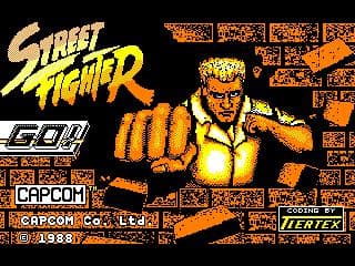 Street Fighter Gameplay Screenshot 4