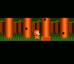 Spanky's Quest DX Gameplay Screenshot 3