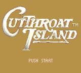 CutThroat Island Gameplay Screenshot 4