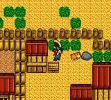 Harvest Moon GB Gameplay Screenshot 1