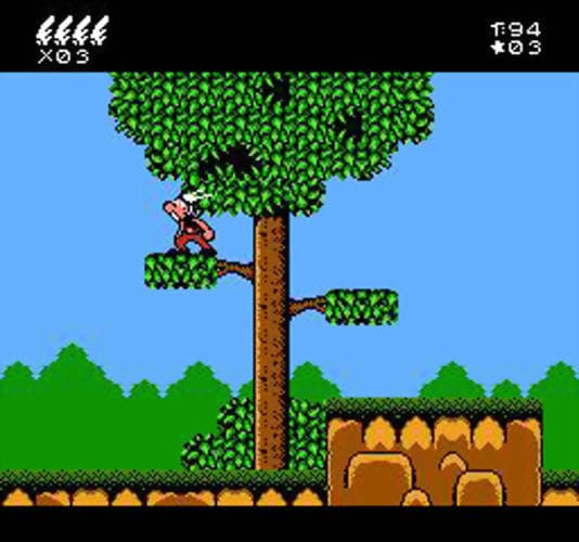 Asterix ROM Gameplay Screenshot 5