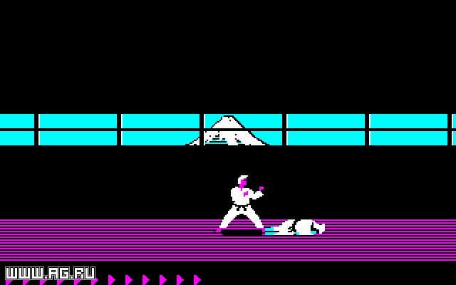 karate Gameplay Screenshot 4