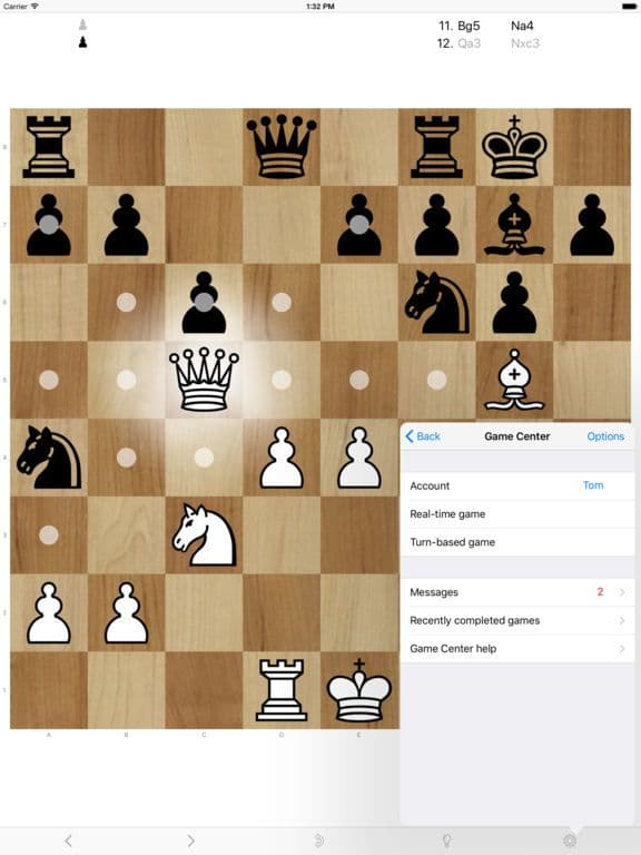 Chess Video Chess Hack Gameplay Screenshot 1