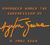 Ayrton Senna's Super Monaco GP II ROM Gameplay Screenshot 2
