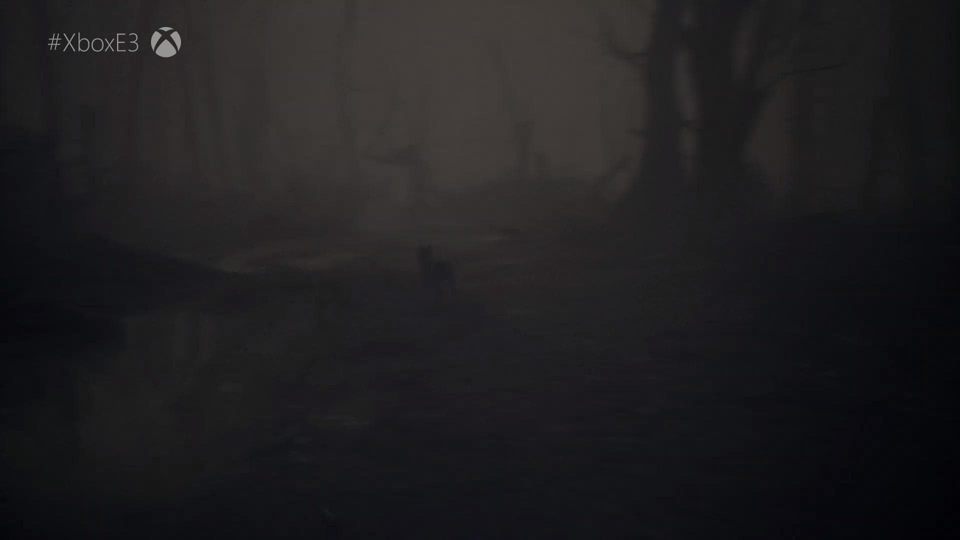 Blair Witch Project The Haunted House Hack Gameplay Screenshot 4