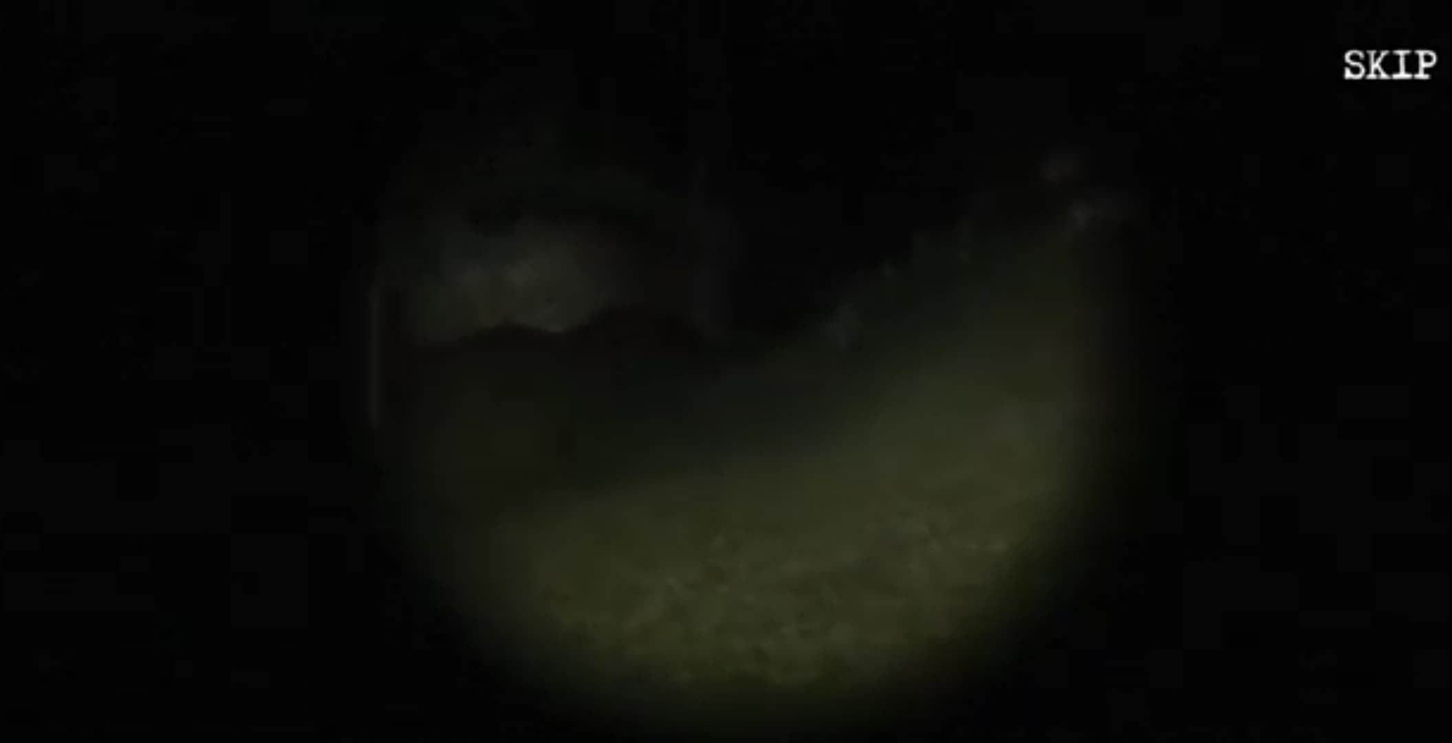 texas chainsaw massacre the Gameplay Screenshot 2