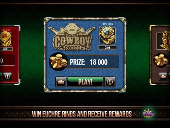 Euchre Gameplay Screenshot 3
