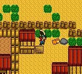 Harvest Moon GB — ROM para Game Boy — Screenshot da capa